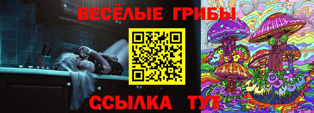 Псилоцибиновые грибы Cubensis Нерюнгри