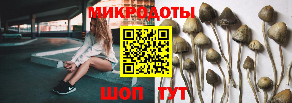 Псилоцибиновые грибы MAGIC MUSHROOMS  Галлюциногенные грибы мицелий  Нерюнгри  Вход с VPN 