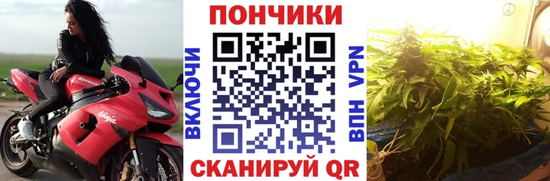 Каннабис план  Нерюнгри 